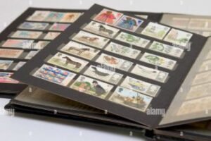 Stamp albums for advanced collectors