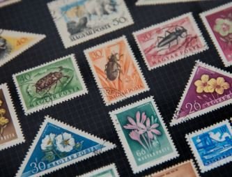 collecting international stamps