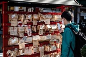 stamp collecting stores near me