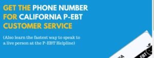 EBT customer service number 